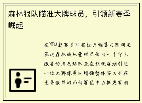 森林狼队瞄准大牌球员，引领新赛季崛起